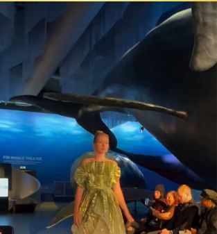 Model on Runway in Ruffled Evening Gown